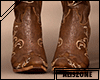 [AZ] Western Boots