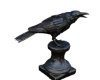 Raven's Statue