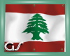GS Lebanon Wall Flag
