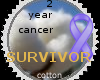 2 year cancer survivor s
