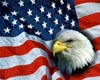 (LIR) USA Eagle Backdrop