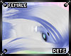 [Pets] Ferre | hair v1