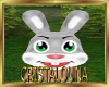Fun bunny head F/M