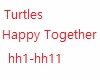 Turtles-Happy Together