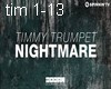 timmy trumpet