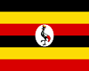 CAE Uganda Flag
