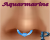 ~P~NoseRing+Accent Aquar