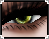 [LyL]Luci Eyes Jajad