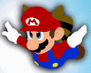 llzM. Mario Flying M/F