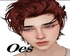 ♔ Hair Brown Adh1t