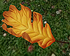 magic world leaf  - 1