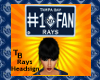 TB RAYS HeadSign #1 FAN