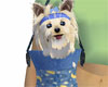 [MK] Dog with blu bag