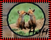 Kissing Fox Cubs Rug
