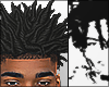 Freeforms 6