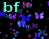 Flower,butterfly effect