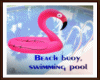 Flamingo buoy