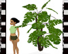 Jungle Plant v4