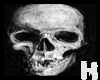|H| Skull