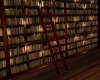BookCase Ladder