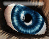 SeMosInspiration-Blue