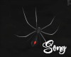 ~SB Attic Spider
