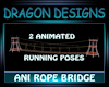 DD ANI ROPE BRIDGE