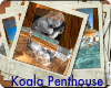 Sim's Koala Penthouse