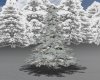 AV Winter Snowy Tree