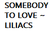 SOMEBODY/LOVE LILIACS