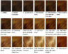 Salon Hair Color Chart