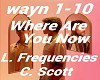 L. Frequencies C. Scott