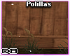 Polillas