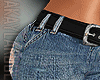 BASIC CAPRI RL
