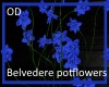 (OD) Belvedere pot plant