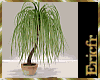 [Efr] Plant Interior 14