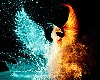 Phoenix Background