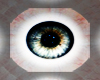 (Q)Eyes Blue Male