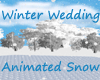 Winter Wedding AniSnow