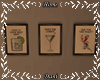 Retro Cocktail Frames