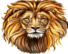 lion ring Gs