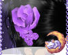 |M| Flower Purple