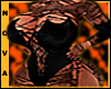 EMBX WITCH BOTTOM