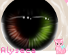 Aly! Fox eyes v3 2-tone