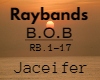 Raybands by BoB