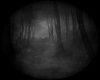 (VDH) Dark Forest
