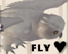 White Flying Owl