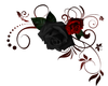 Black/Red Upper(R)