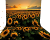sunflower backdrop