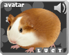 Hamster Avatar F/M Sound